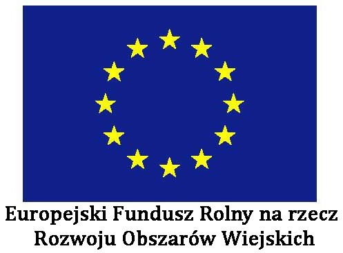 Obraz przedstawiający Przebudowa placu zabaw w miejscowości Krzeszów