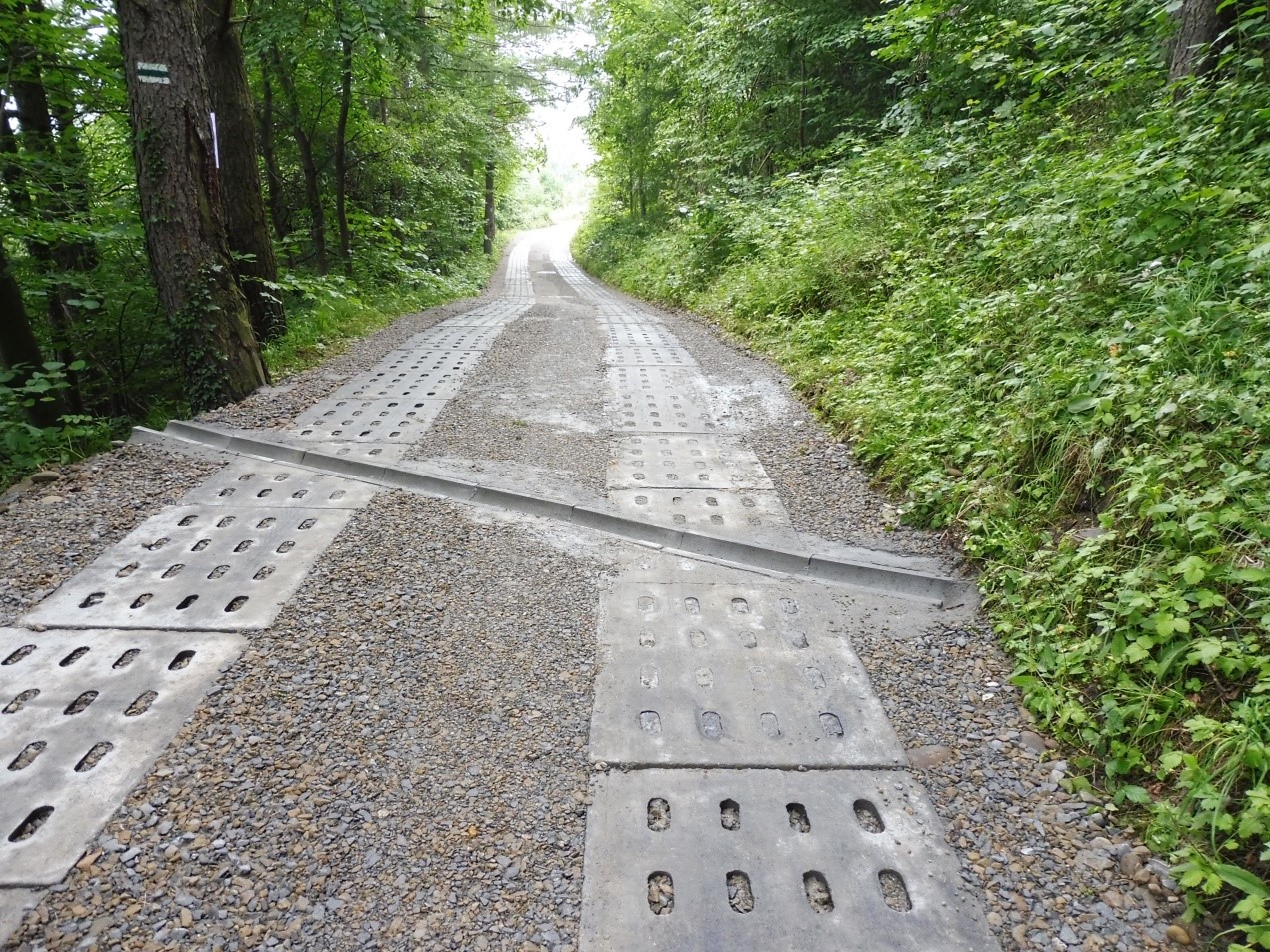 Obraz przedstawiający Remont drogi Krzeszów Carchel (działka nr ew. 8442) w km 0+000-0+165
