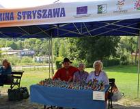 Obraz przedstawiający Europejskie Dni Dziedzictwa w Beskidzkim Centrum Zabawki